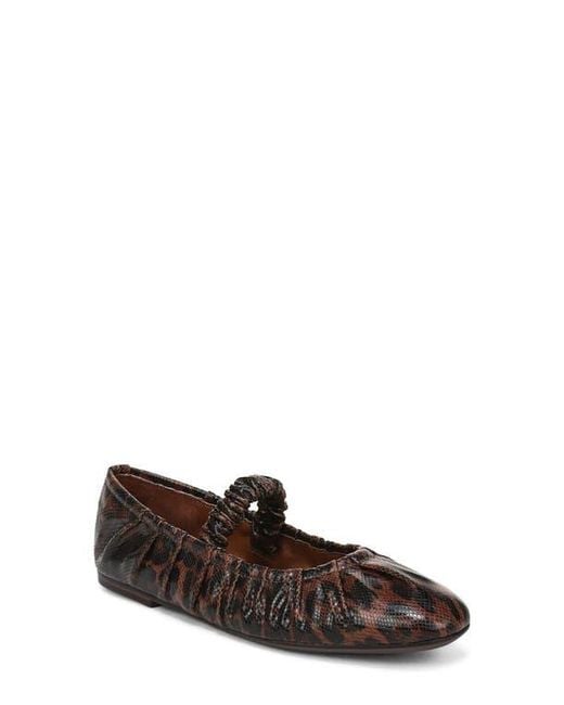 Circus by Sam Edelman Brown Blythe Flat