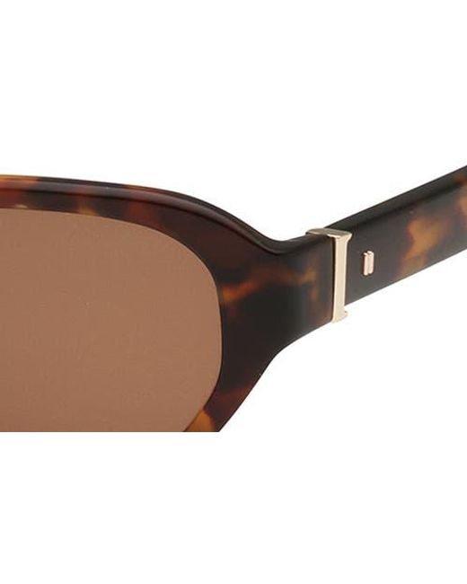 Abercrombie & Fitch Brown 52Mm Oval Sunglasses