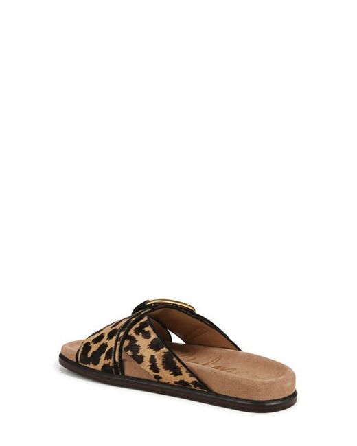 Sam Edelman Brown Darla Slide Sandal