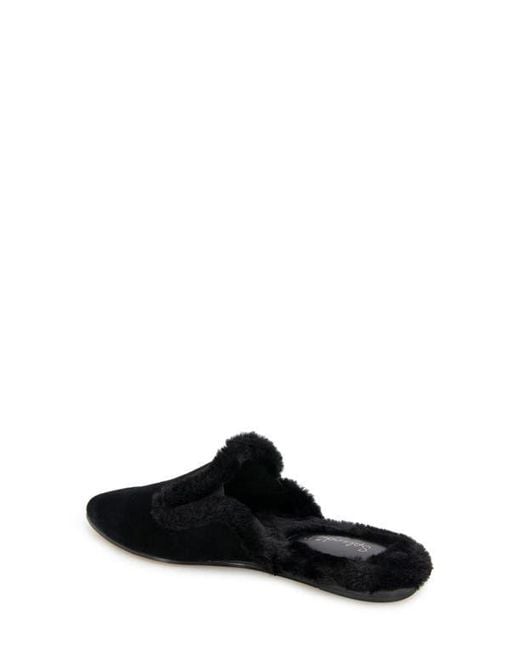 Splendid Black Liza Pointed Toe Mule