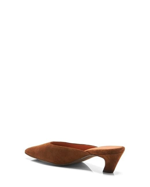 Free People Brown Avenue Mule