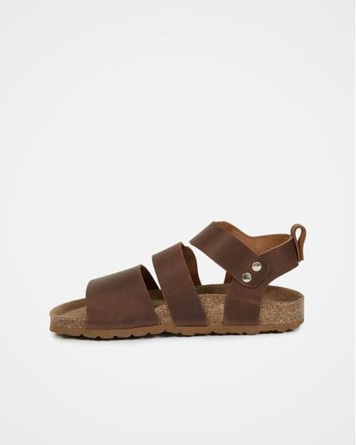 Celtic & Co. Brown An Elegant Triple Strap Sandal
