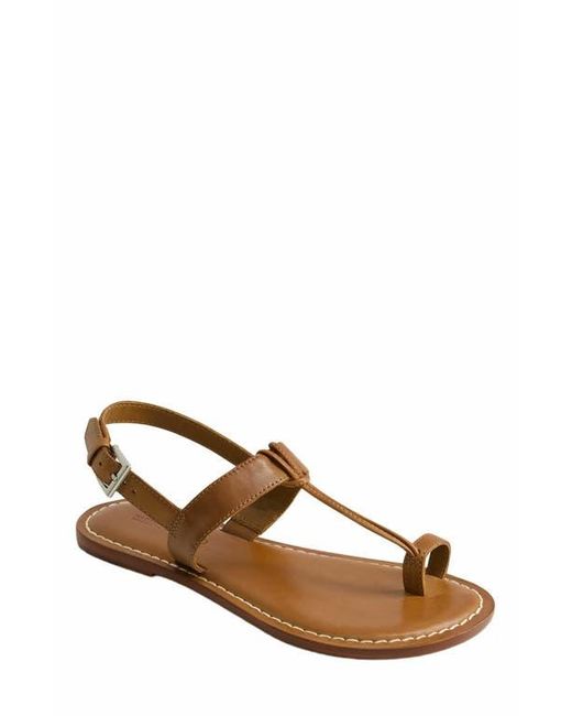 Bernardo Brown Maverick 2 Toe Loop Sandal