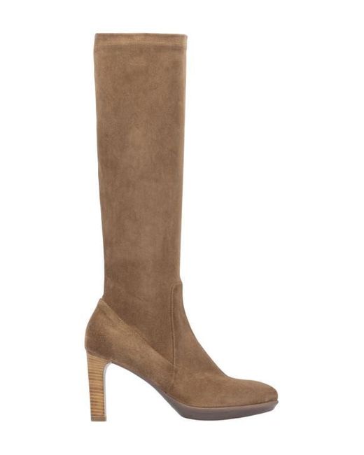 Aquatalia Brown Rhumba Knee High Boot
