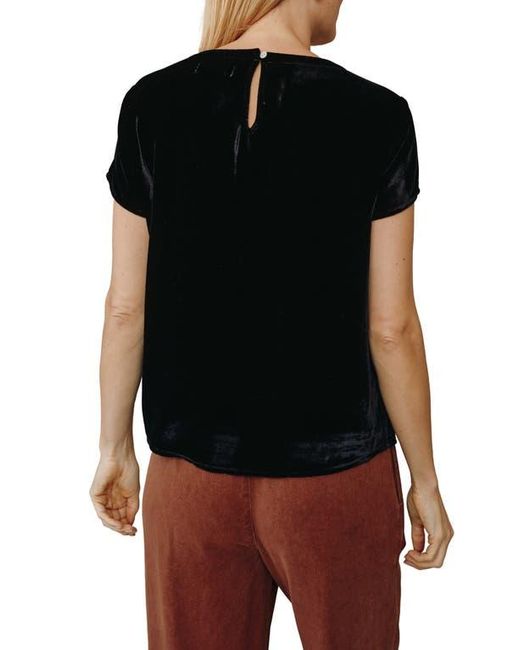 Bella Dahl Black Velvet Crewneck Top