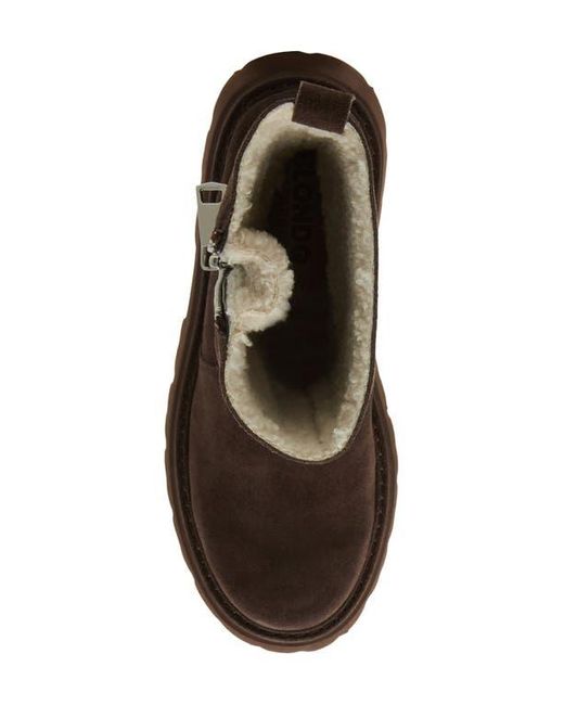 Blondo Brown Burnout Waterproof Boot