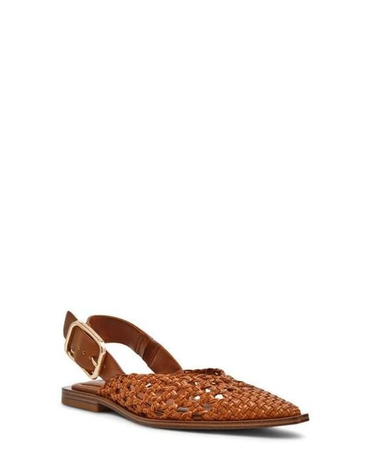 Steve Madden Brown Shay Pointed Toe Slingback Flat