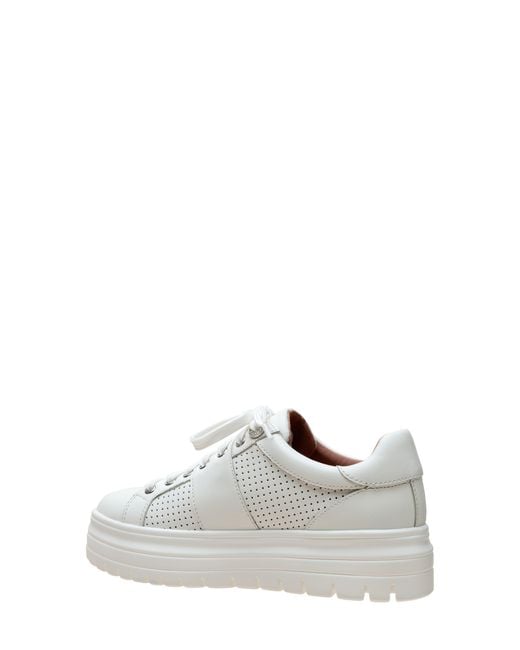linea paolo platform sneaker