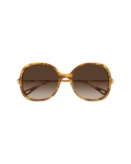 Chloé Brown 57Mm Gradient Round Sunglasses
