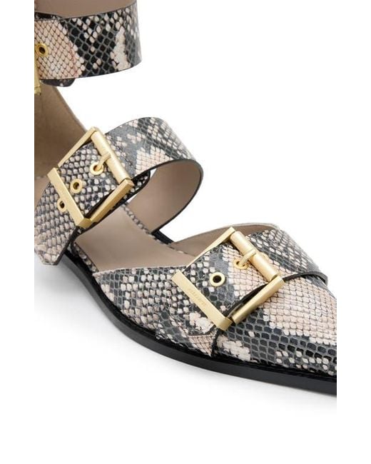 AllSaints Metallic Sutton Snakeskin Embossed Pointed Toe Flat