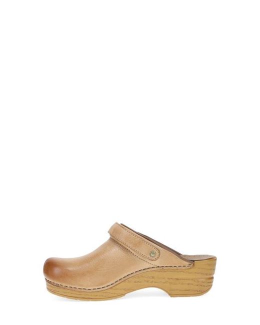Dansko Multicolor Ingrid Clog