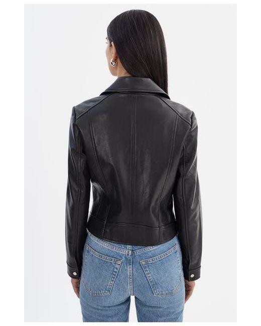Lamarque Black Klea