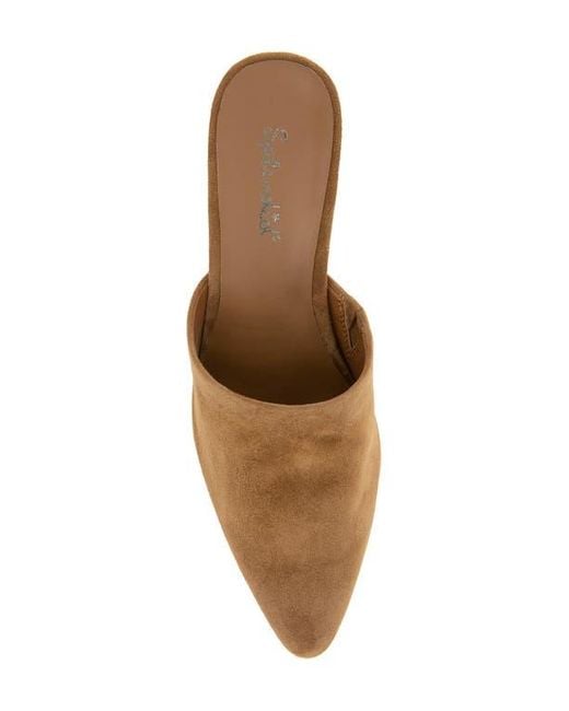 Splendid Brown Lyn Suede Mule Heel