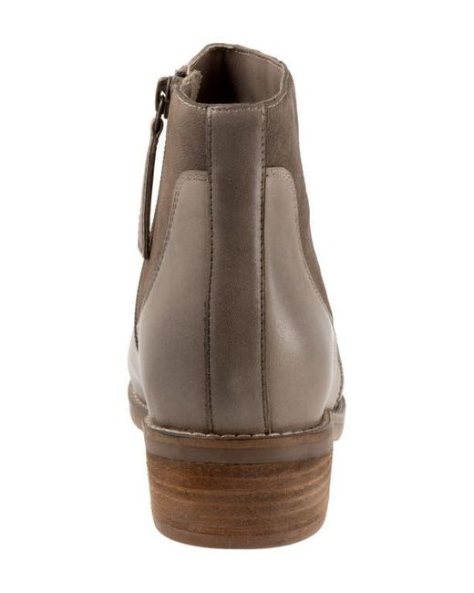 Softwalk® Brown Racine Bootie