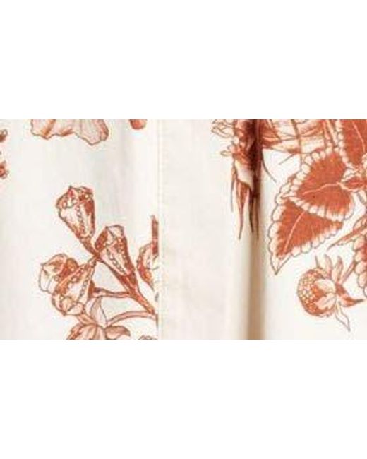 Jason Wu Multicolor Forest Print Cotton Stretch Poplin Shirtdress
