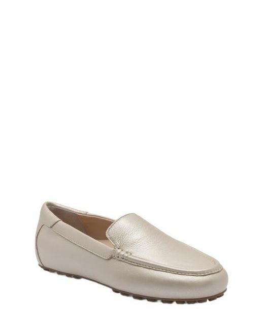 ABEO White Harbor Loafer