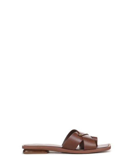 Sarto Brown Etta Toe Loop Sandal