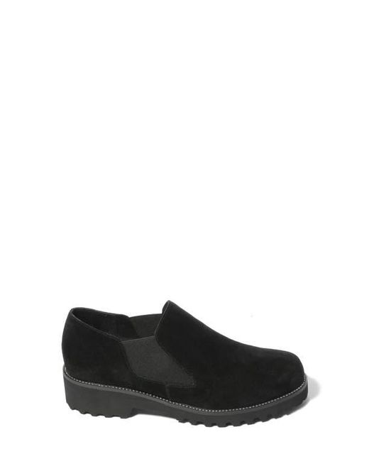 Vaneli Black Zivana Weatherproof Oxford
