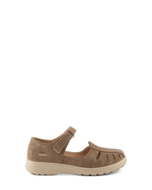 Flexus by Spring Step Brown Otero Sandal