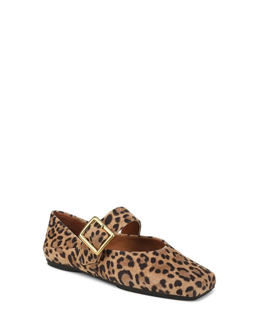 Franco Sarto Brown L-Oakes Flat