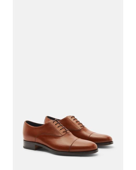Scarosso Brown Vesta Oxfords for men