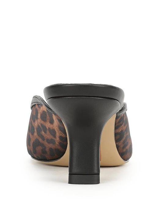 Sam Edelman Multicolor Mesh Pointed Toe Mule