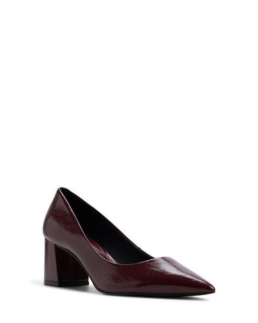 ALDO Brown Ybalelin Pointed Toe Pump