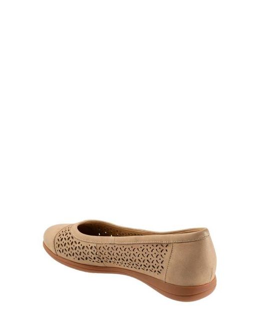 Trotters Brown Delmara Cap Toe Slip-On Shoe