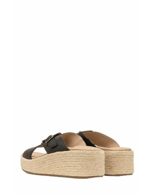 ABEO Black Solstice Cross Slide