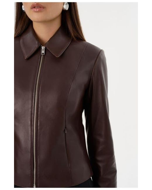 Lamarque Black Oceana