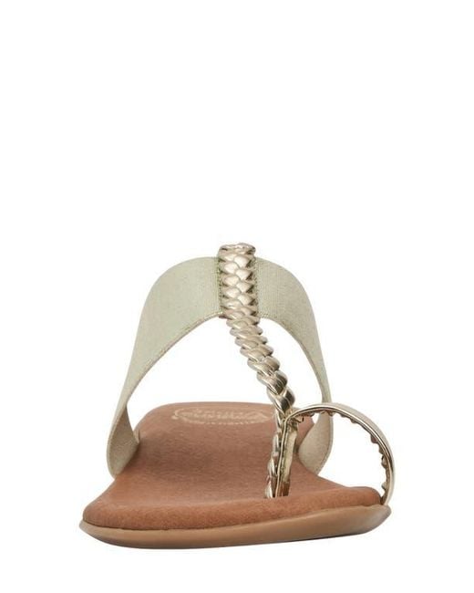 Andre Assous Multicolor Neo Toe Loop Sandal
