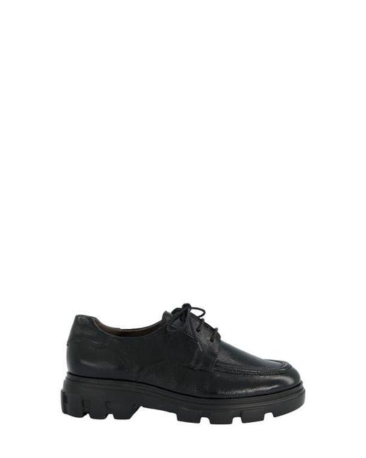 Paul Green Char Oxford in Black | Lyst display picture 2