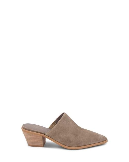 Chocolat Blu Multicolor Cellia Pointed Toe Mule