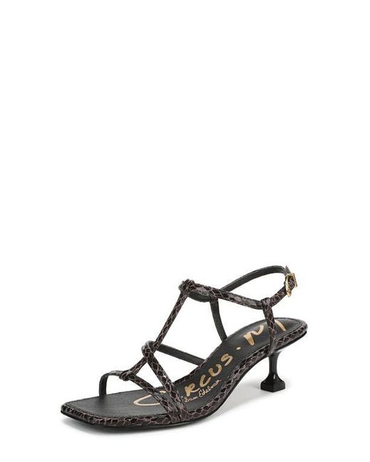 Circus by Sam Edelman Black Jaida Snakeskin Embossed Strappy Sandal