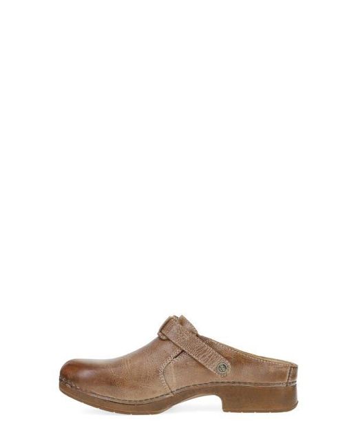 Dansko Brown Millie Mule