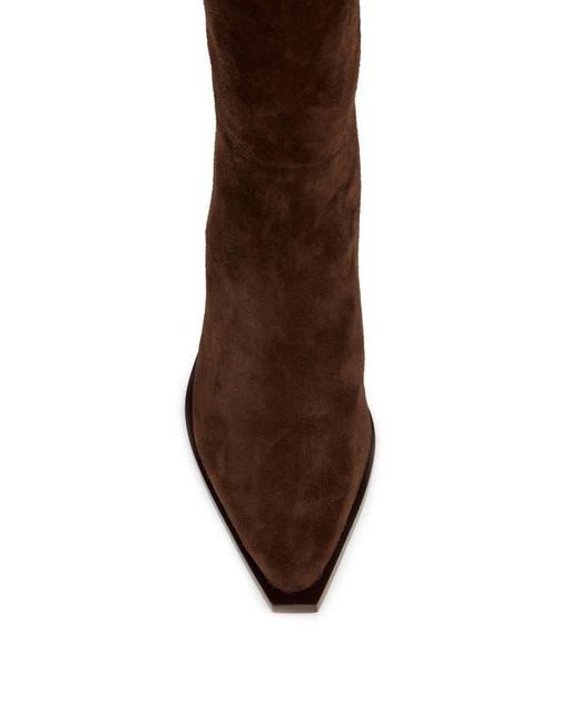 PAIGE Brown Lillian Pointed Toe Knee High Boot