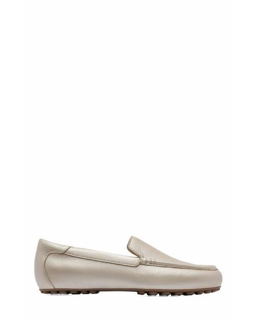 ABEO White Harbor Loafer