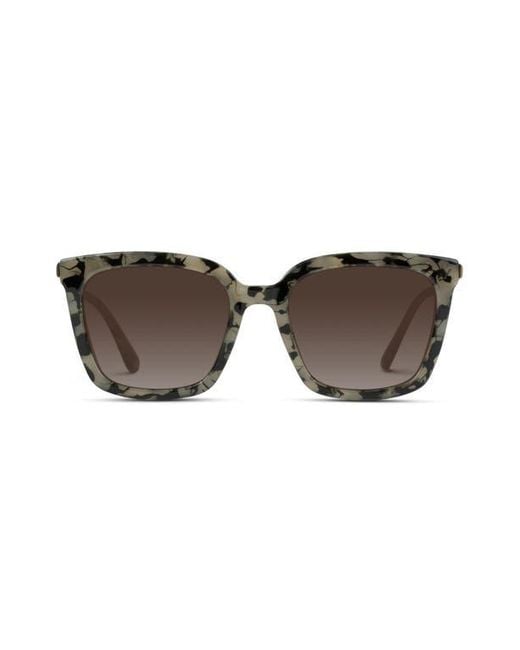 WMP Eyewear Brown Madison