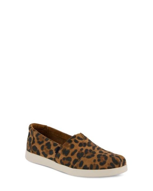 TOMS Brown Alpargata Plus Slip-On