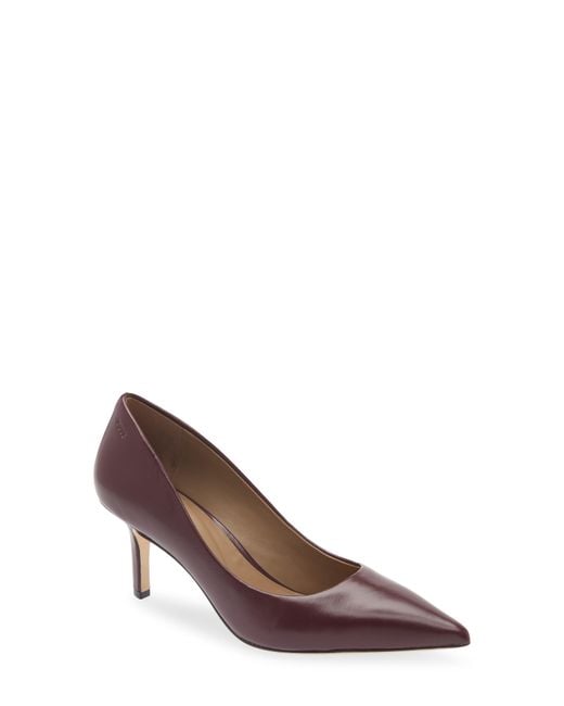 Boss Brown Miah Pointed Toe Pump