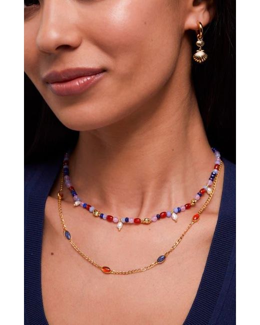 Estella Bartlett Multicolor Bead Sea Shell And Pearl