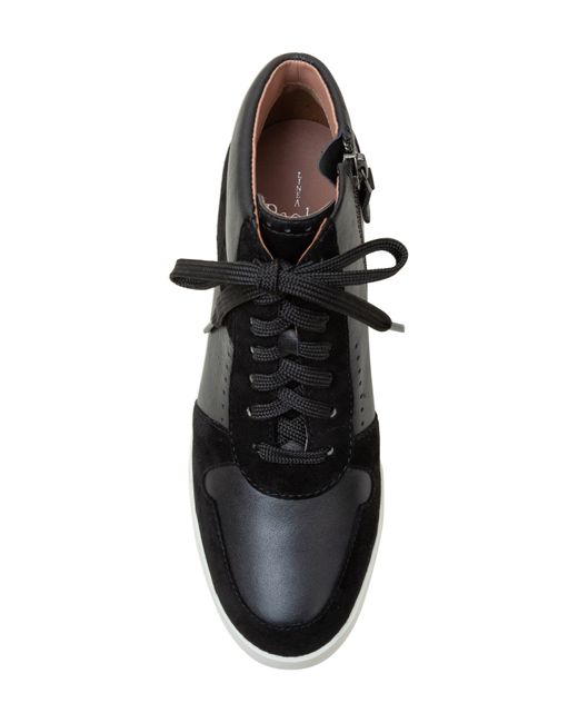 Linea Paolo Andres Mixed Media High Top Sneaker in Black | Lyst