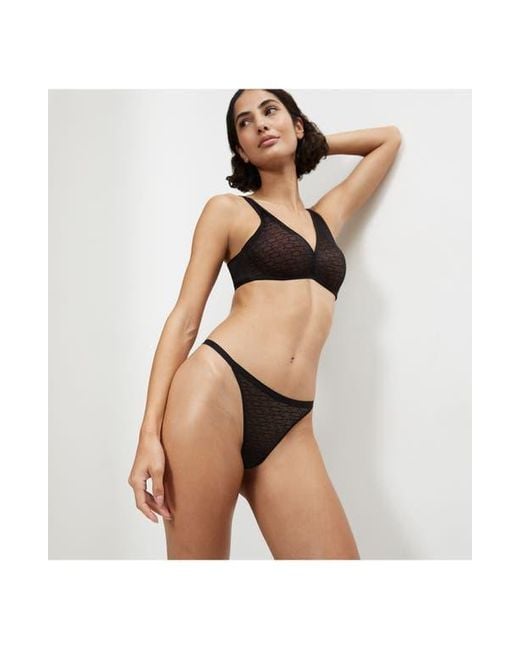 Triumph Black Signature Sheer Thong Panties