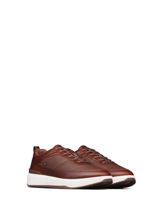 Wolf & Shepherd Brown Baller Sneaker for men