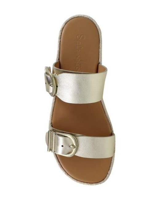Splendid Multicolor Farrin Slide Sandal