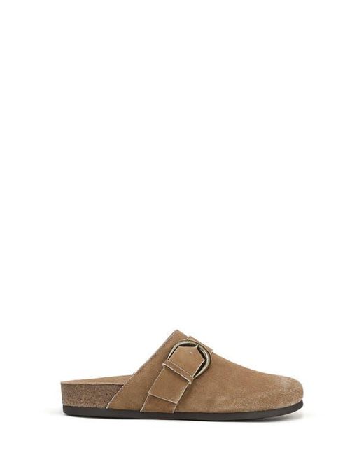 Sam Edelman Brown Alyce Mule