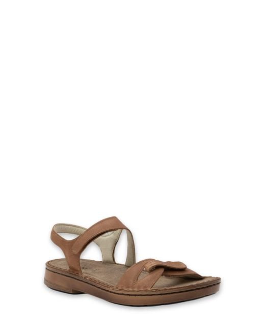 Naot Brown Evora Sandal