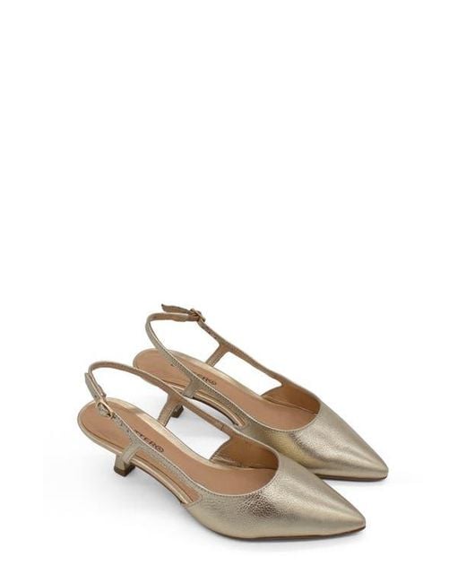 BOTTER Metallic Botolivia Legacy Pointed Toe Slingback Pump