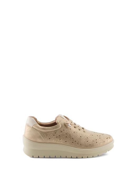 Flexus by Spring Step Natural Rayfield Sneaker