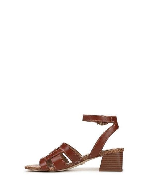 Sam Edelman Brown Wayla Ankle Strap Sandal